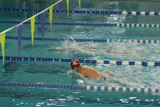 九游娱乐-张雨霏自由泳赛段发力迅速，张雨霏自由泳实力
